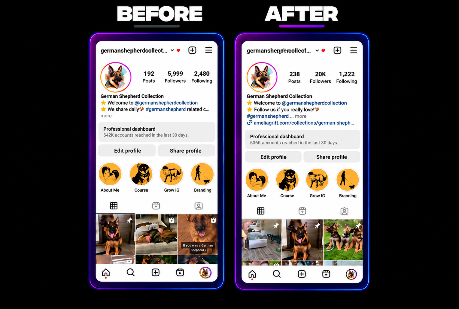 Instagram profile before